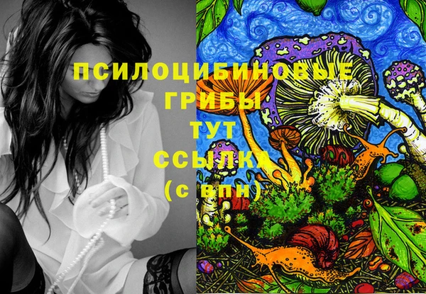 MDMA Богданович