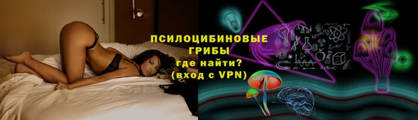 молекула духа Богородск