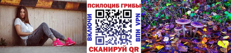Псилоцибиновые грибы Psilocybe  ссылка на мегу онион  Игарка 